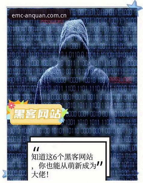 揭秘EMC官方网址的真相：为什么你总找不到易倍官网入口？